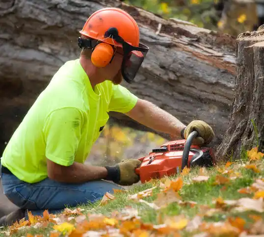 tree services Harris